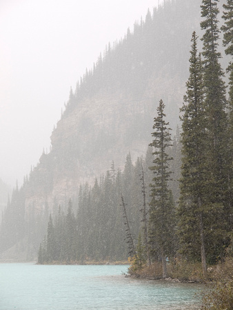 lake louise in the snow