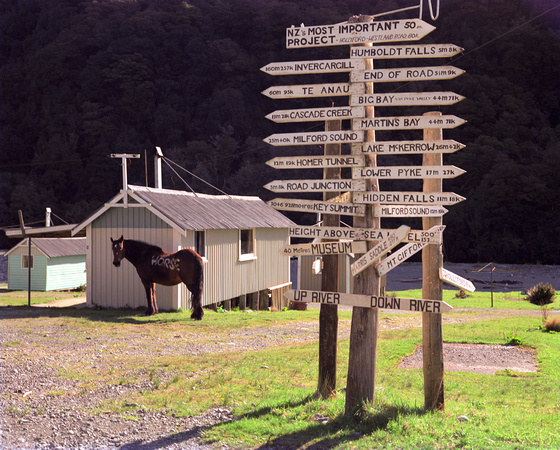well signposted, new zealand 1989