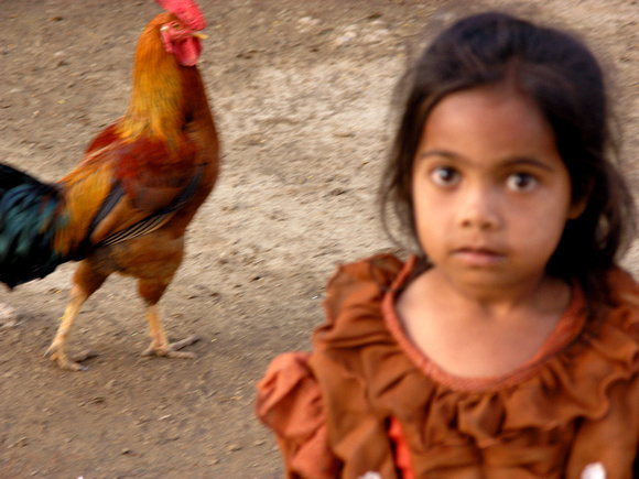 chicken girl, hampi, india