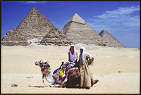 at the pyramids