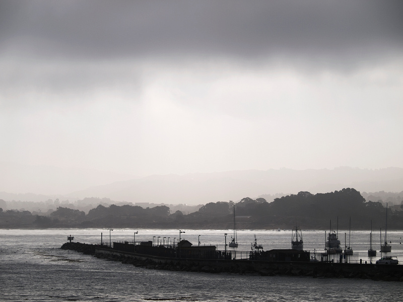 p123431228-4.jpg