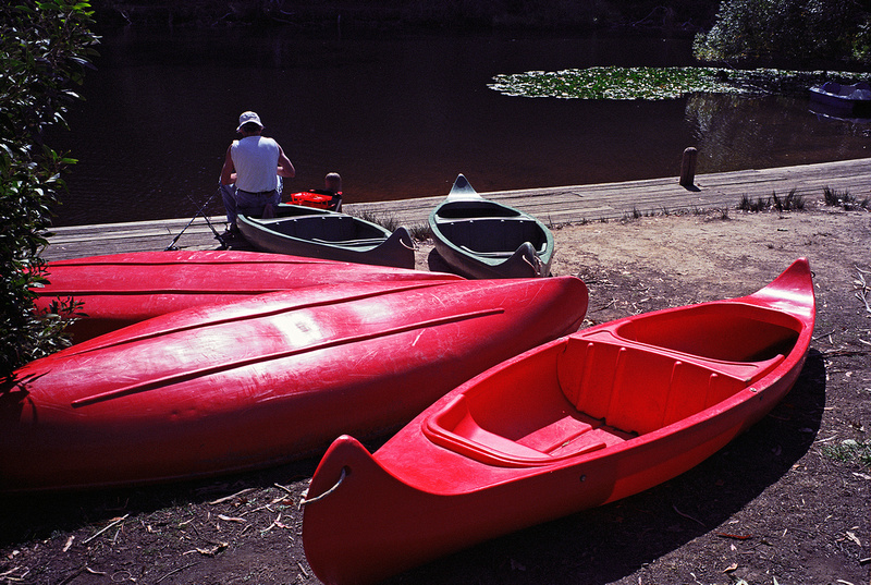 p729312225-4.jpg