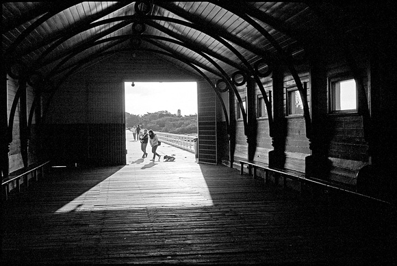 reluctant dog, queenscliff pier
